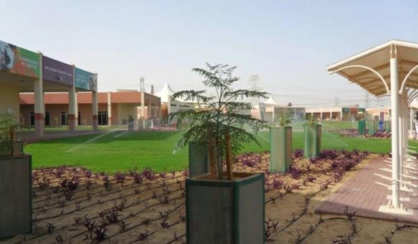 Birds and Animals market - سوق الطيور و الحيوانات