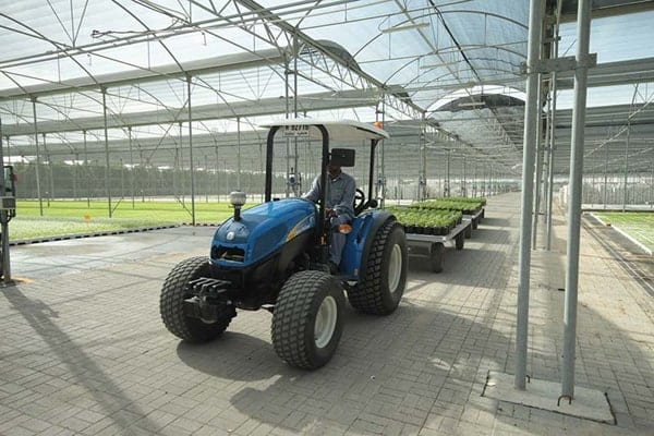Greenhouses and Shaded Areas - بيوت بلاستيكية ومناطق مظللة