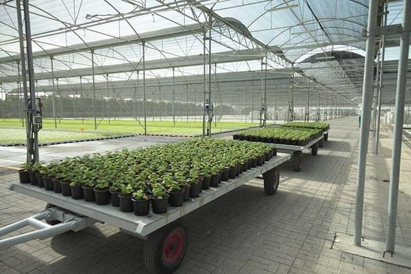 Greenhouses and Shaded Areas - بيوت بلاستيكية ومناطق مظللة