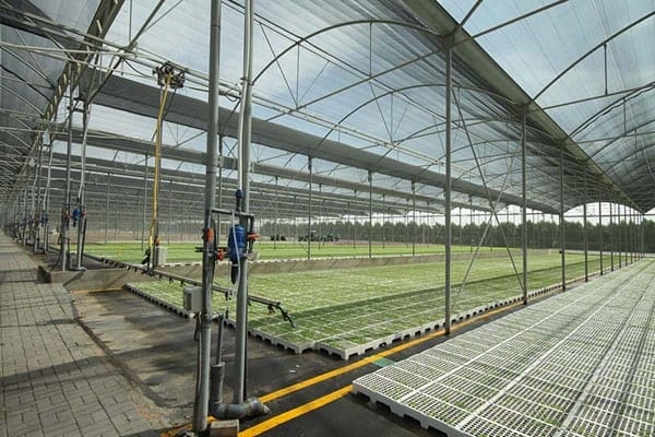 Greenhouses and Shaded Areas - بيوت بلاستيكية ومناطق مظللة