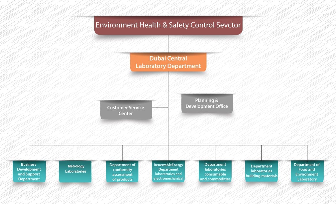 Organizational Chart - الهيكل التنظيمي