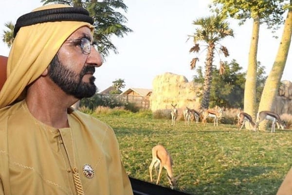 Dubai Safari - سفاري دبي