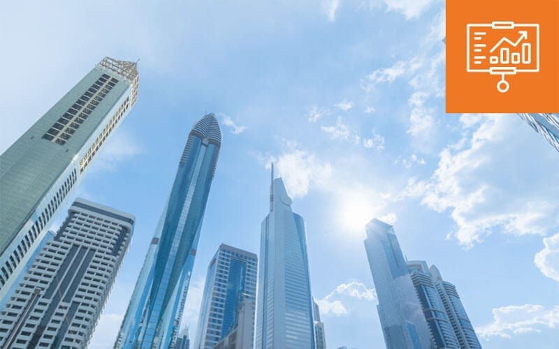 uae food bank economic