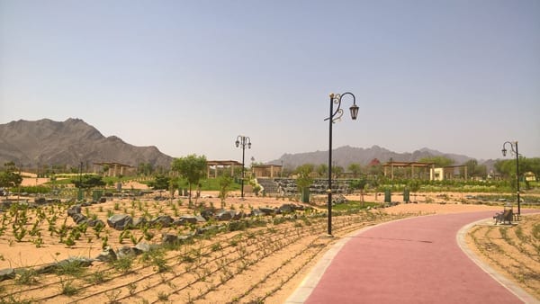 Wadi Hatta Park - حديقة وادي حتا