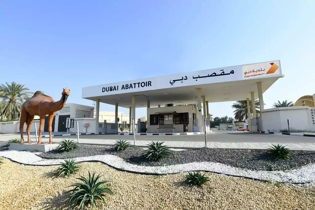 Dubai Abattoir - مقصب دبي