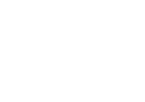 food investment