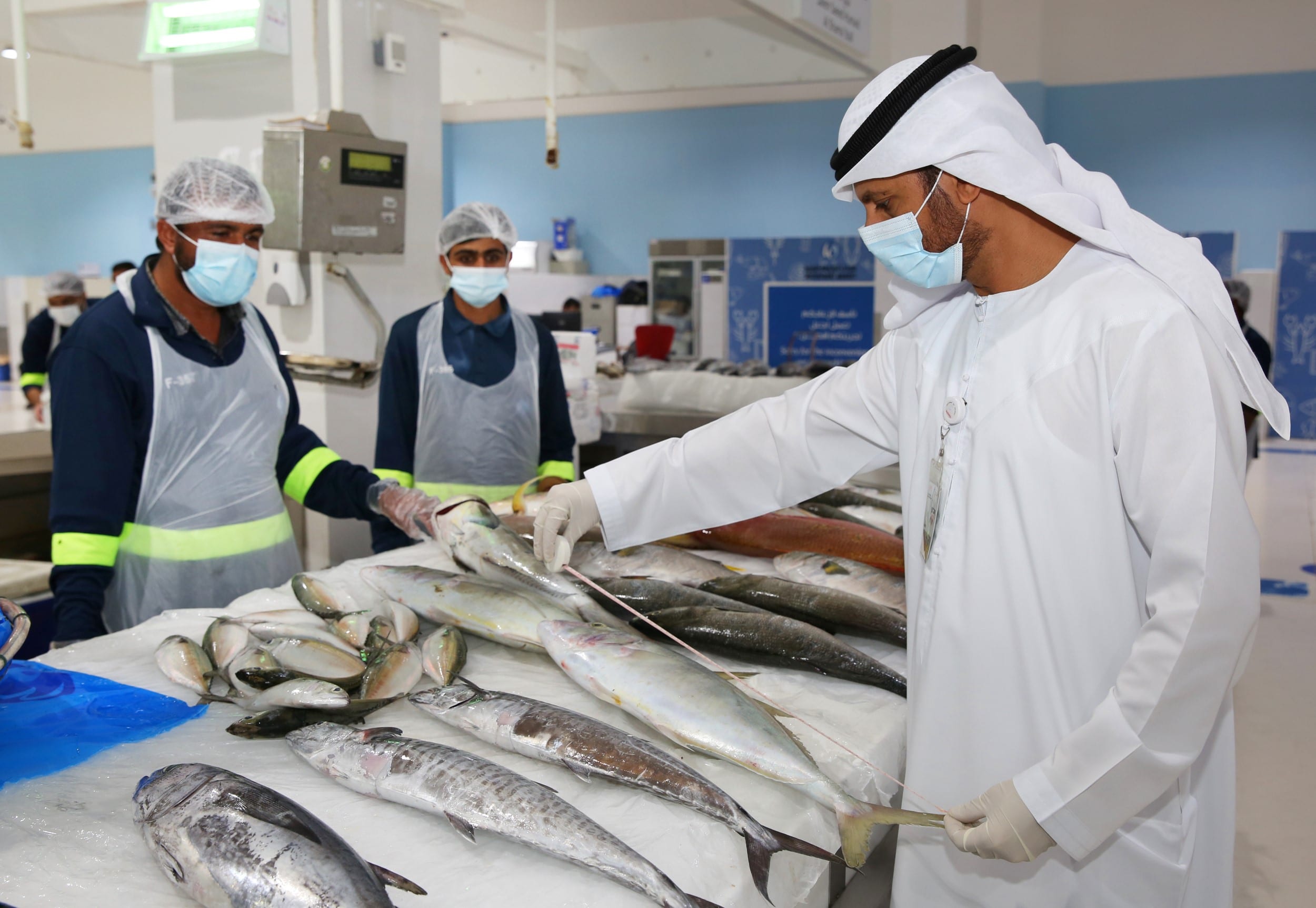 fisheries - الثروة السمكية