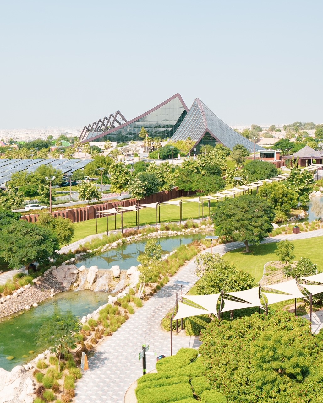 Winter camp in Dubai Safari Park