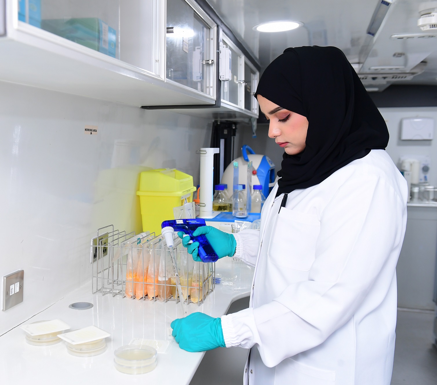 Food Test فحص الطعام