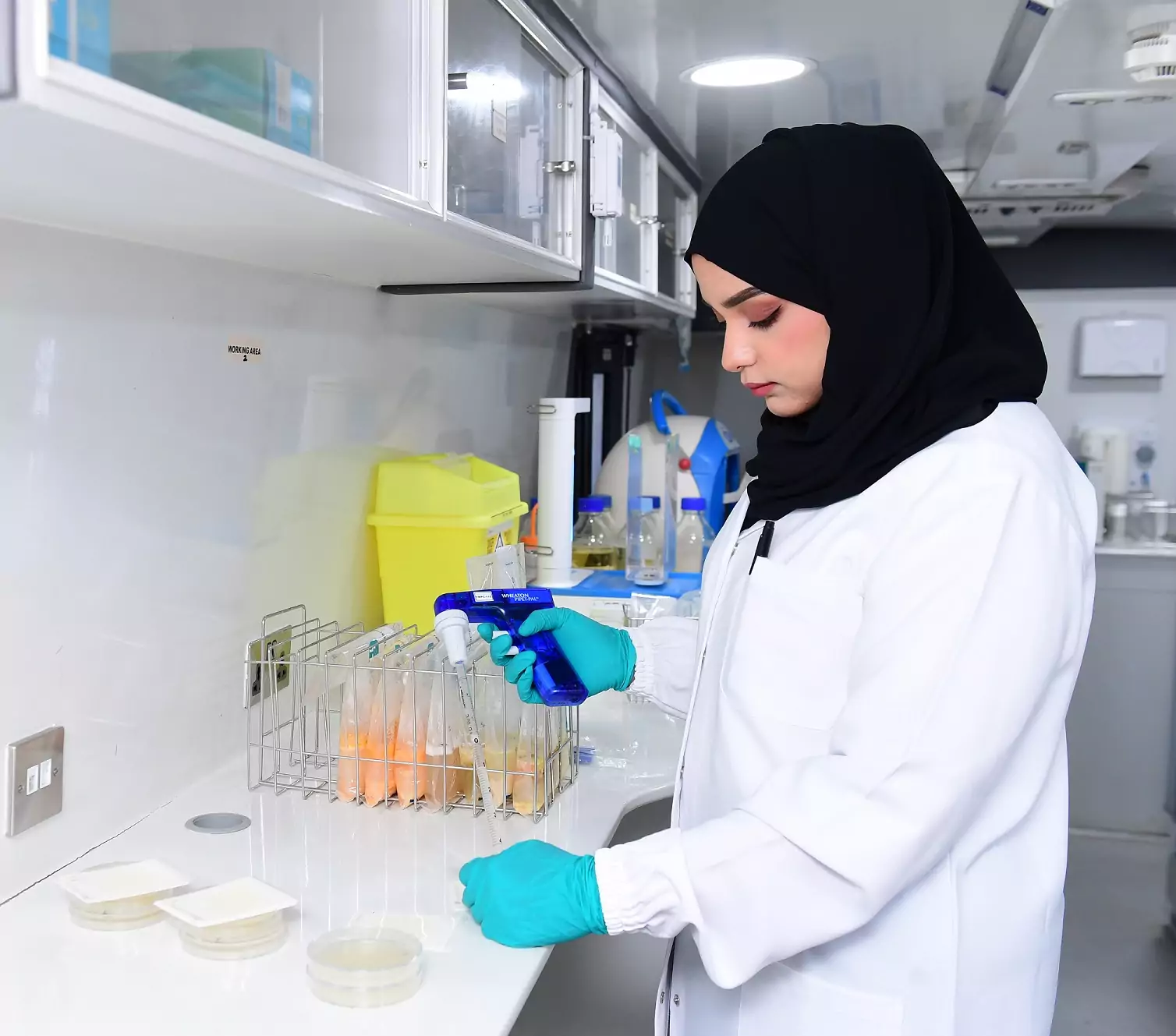Food Test فحص الطعام