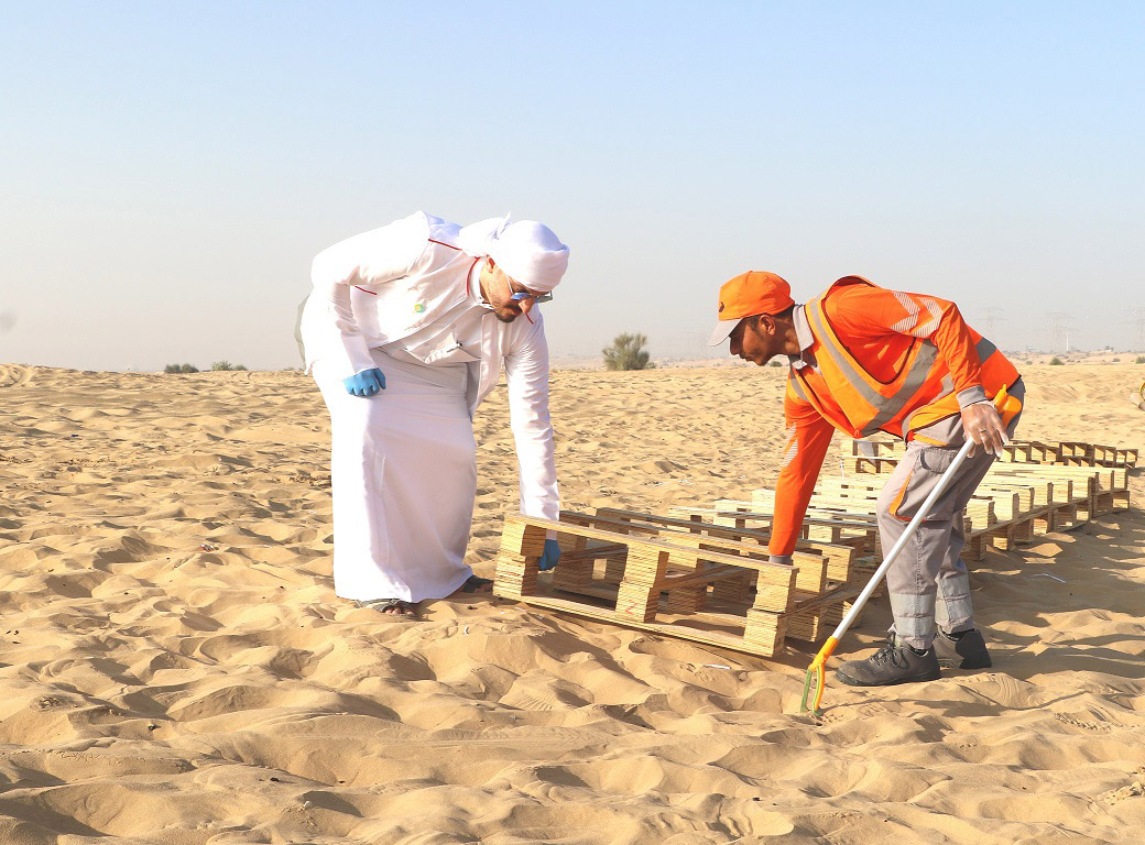 Dubai attracts 4,791 volunteers in first half of 2023 to maintain clean and sustainable environment - 4,791 متطوعاً للحفاظ على نظافة واستدامة البيئة في إمارة دبي خلال النصف الأول من العام الجاري