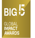Big 5 Global Impact Awards
