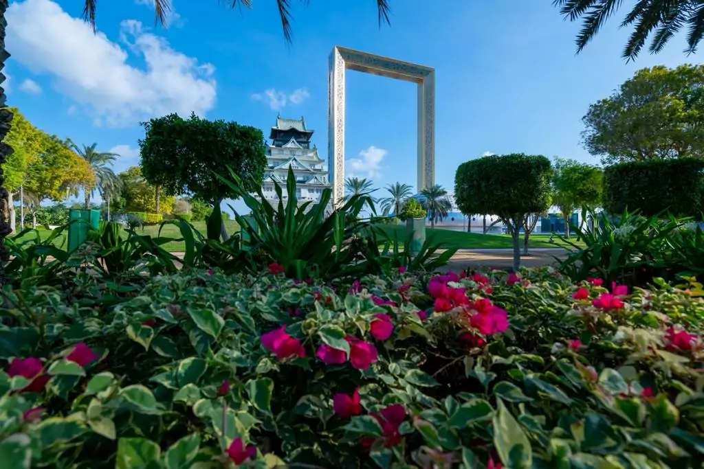 Dubai Municipality achieves a new record in tree planting in Dubai during 2023