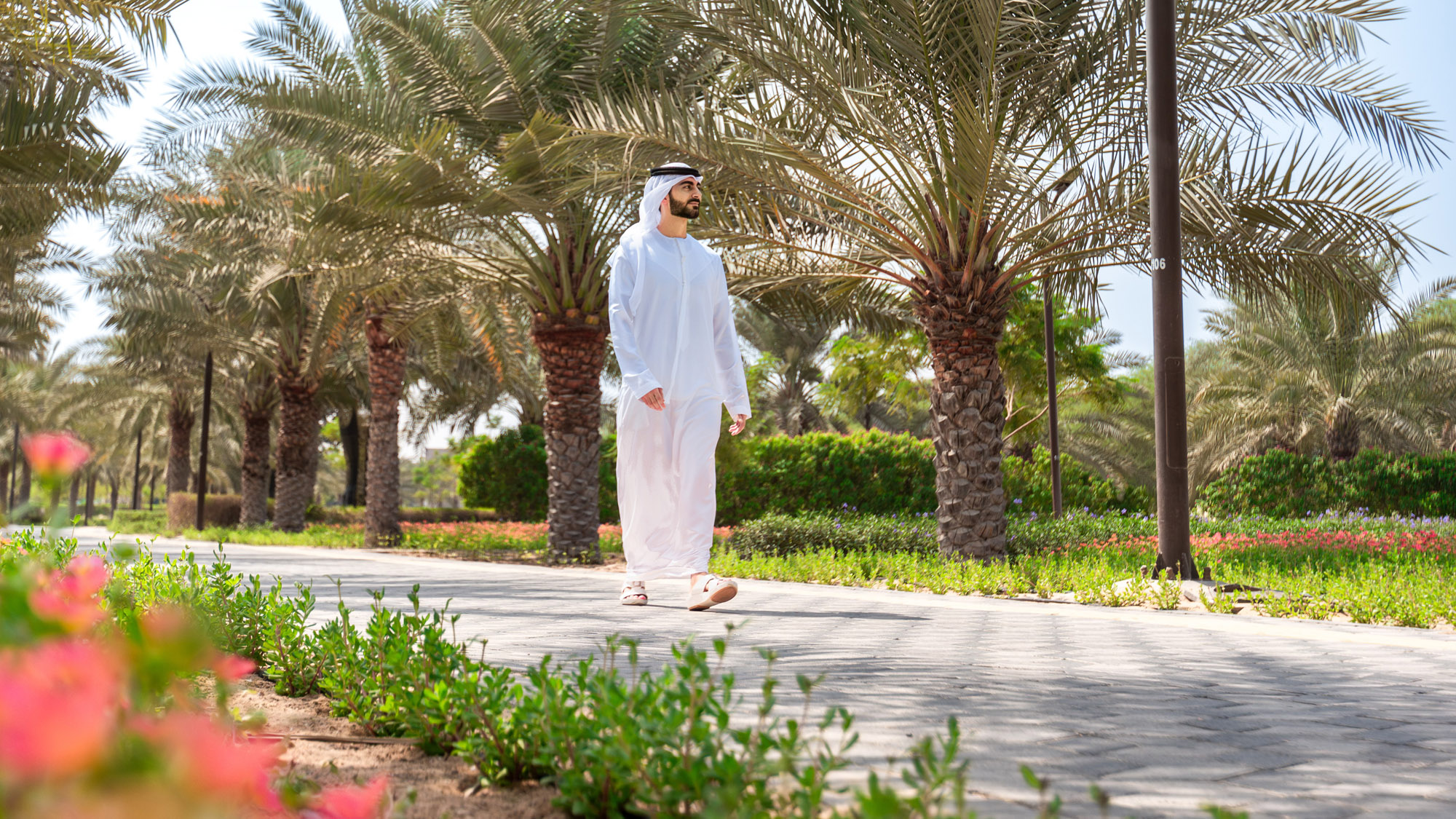 parks Dubai Public Parks - حدائق دبي