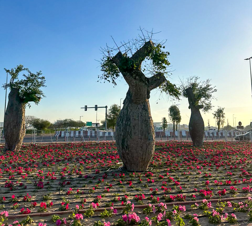 مشروع زراعي تجميلي جديد تُنفذه بلدية دبي في الإمارة عند تقاطع شارعي الميدان مع الخيل