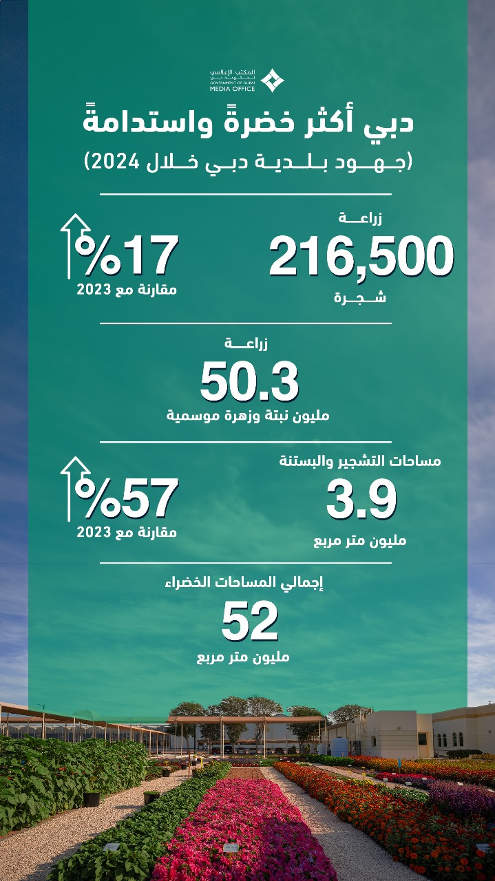 زراعة 216,500 شجرة في دبي عام 2024